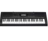 Đàn Organ Casio CTK - 3000