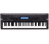 Đàn Organ Casio WK - 500